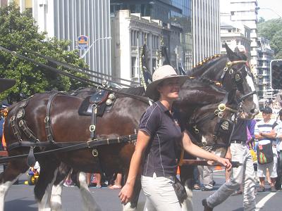 Auckland Santa Parade 2013