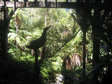 Auckland Domain - The Fernery
