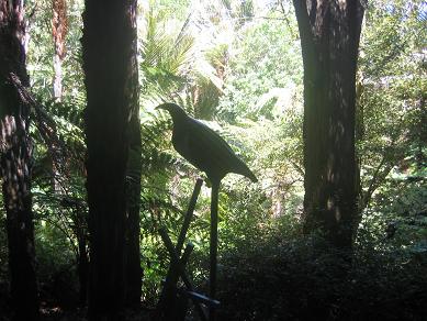 Auckland Domain - The Fernery