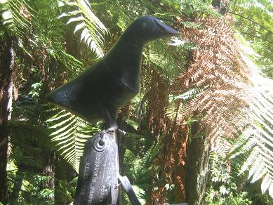 Auckland Domain - The Fernery