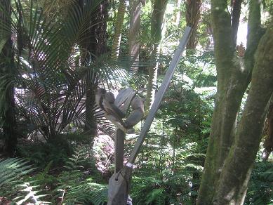 Auckland Domain - The Fernery