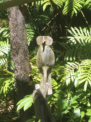 Auckland Domain - The Fernery