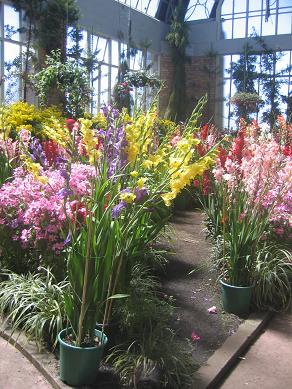 Auckland Domain - Greenhouses