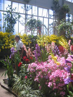 Auckland Domain - Greenhouses