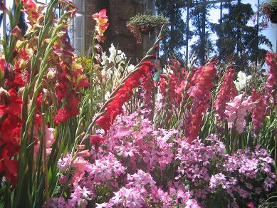 Auckland Domain - Greenhouses