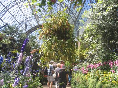 Auckland Domain - Greenhouses