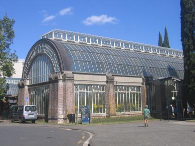 Auckland Domain - Greenhouses