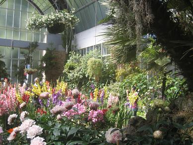 Auckland Domain - Greenhouses