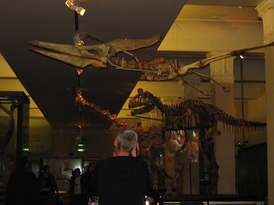 Auckland Museum - Origins