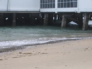 Devonport Ferry Terminal