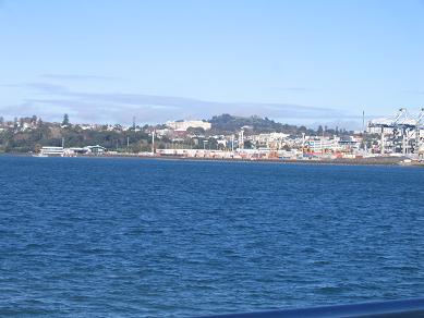 Devonport Ferry