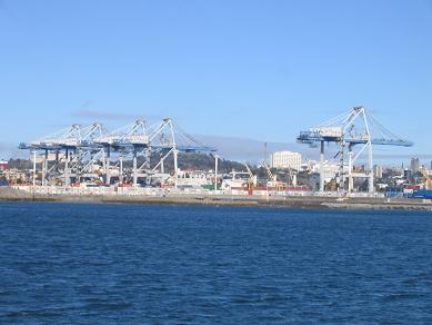 Devonport Ferry