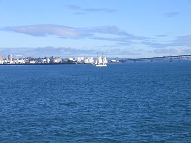 Devonport Ferry