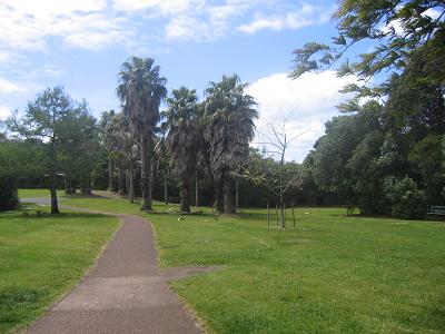 The Old Devonport Walk