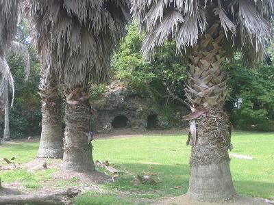 The Old Devonport Walk