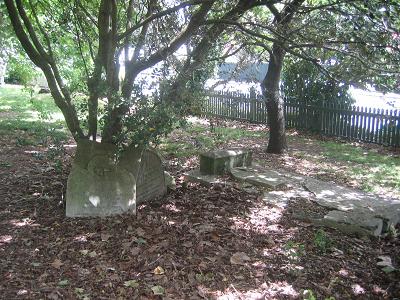 The Old Devonport Walk