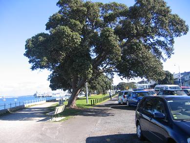 Devonport Waterfront