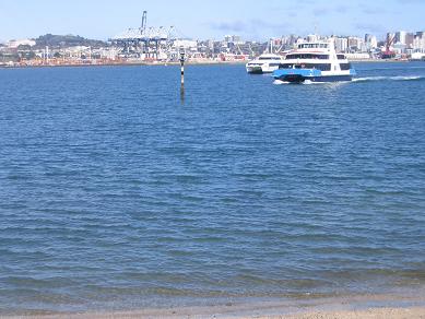 Devonport Waterfront