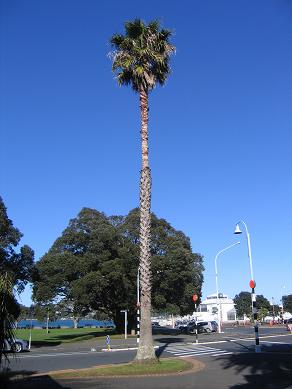 Devonport Waterfront