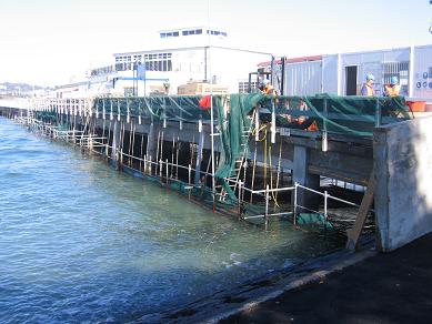 Victoria Wharf Repairs