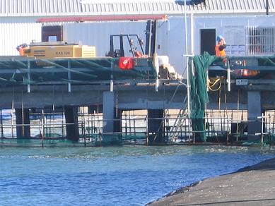 Victoria Wharf Repairs