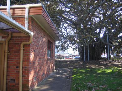 Old Devonport Library