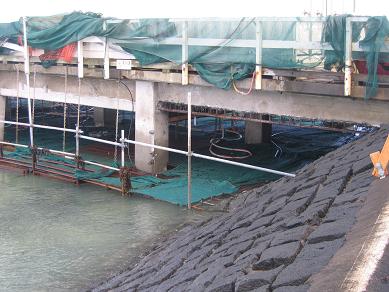 Victoria Wharf Repairs