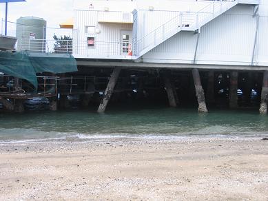 Victoria Wharf Repairs