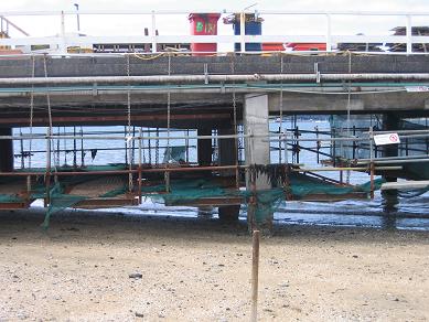 Victoria Wharf Repairs