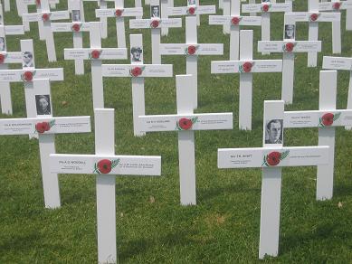 Devonport Field of Remembrance