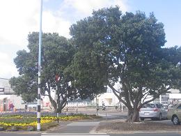 Devonport Wharf Redevelopment