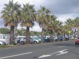 Devonport Wharf Redevelopment