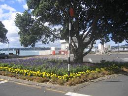 Devonport Wharf Redevelopment