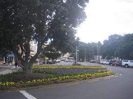 Devonport Wharf Redevelopment