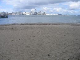 Devonport Wharf Redevelopment