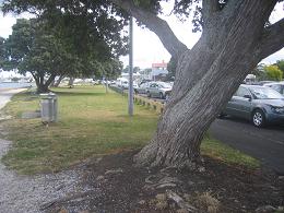 Devonport Wharf Redevelopment