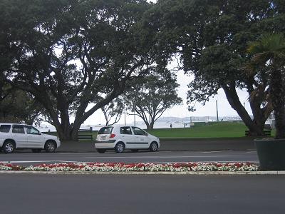 Devonport Flower Beds and Trees