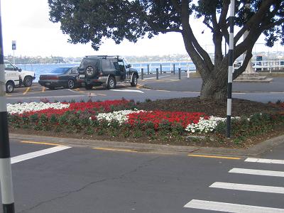 Devonport Flower Beds and Trees