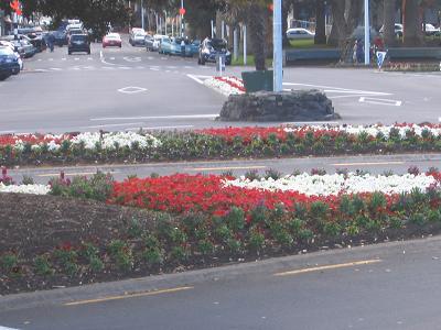 Devonport Flower Beds and Trees