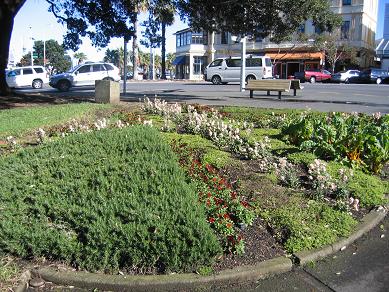 Devonport Flower Beds and Trees