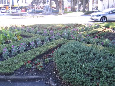 Devonport Flower Beds and Trees