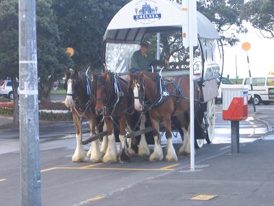 Devonport Wagon Ride