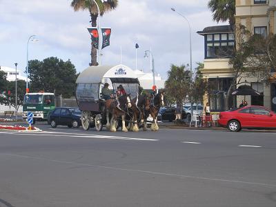 Devonport Wagon Ride