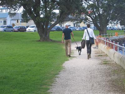 Devonport Waterfront