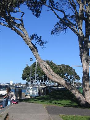 Devonport Waterfront