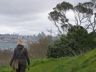 Mt Victoria