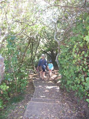 North Head Tunnels