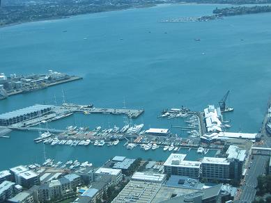 Auckland Sky Tower Sky Deck