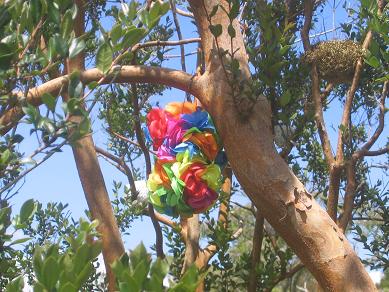 Sculpture in the Gardens