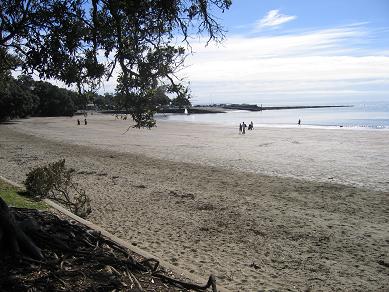 Takapuna Beach